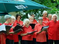 05_Brunnenfest_2022_Schwalheim.05.jpg